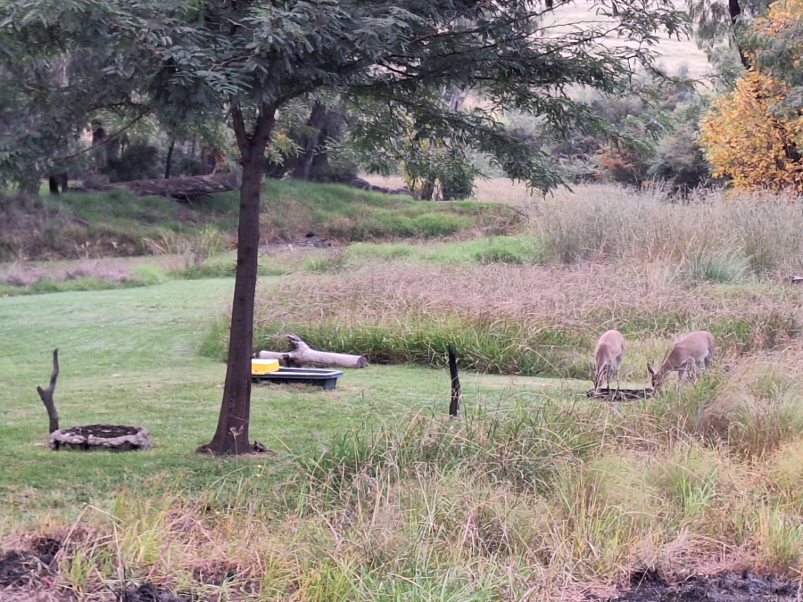 3 Bedroom Property for Sale in Vrede Free State